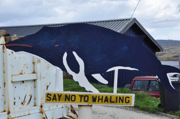 Pequeno museu sobre baleias, em Port Stanley, a capital de Falkland